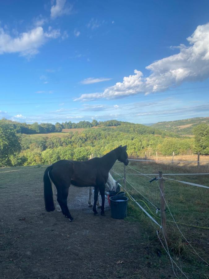 Chez Sophie - Gite Et Gite Equestre Clermont-Dessous Εξωτερικό φωτογραφία